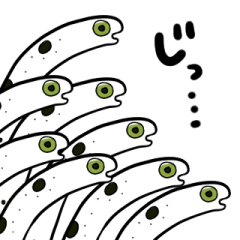 talking Chinese eel