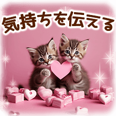convey your feelings - cats and sweets