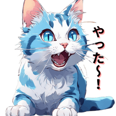 Light blue calico cat Daily life