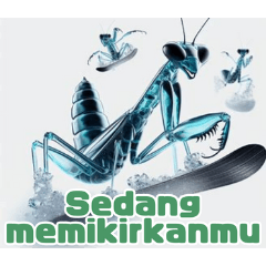 Playful Snow Mantis:Indonesian