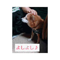 miku_20240201233242