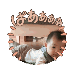tomo_20240201234940