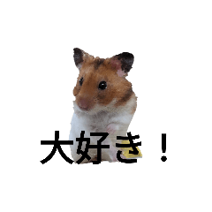 Sakura_20240201201935