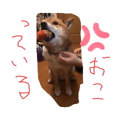 ゆめなちゃん大ちゃん