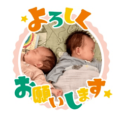 fuwa_20240201231705