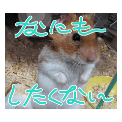 Sakura_20240202070040