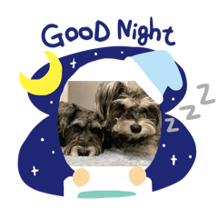 bonkiku1226_20240201230057