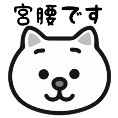 Miyakoshi cat stickers