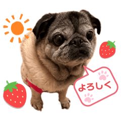 Sunny_20240202010029