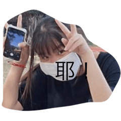 朋友之醜照集