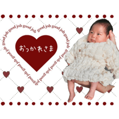 Suzu_20240202071232