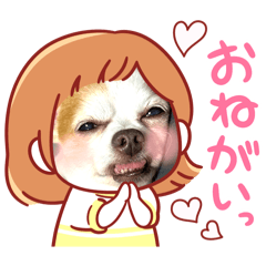 リオン君とレオ君