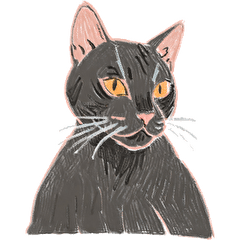 color pencil black cat