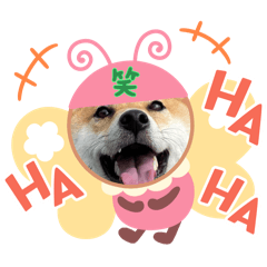 KaNa_20240202205745