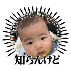 konatsu_20240202230017