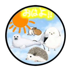 penguin_20240203101310