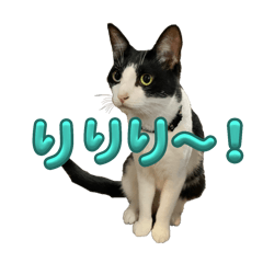 日常りりり〜! - LINE スタンプ | LINE STORE