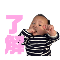 Sakura_20240203112546