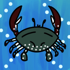 swimming crab sticker