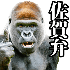 Gorilla in Saga dialect