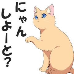 Cats speaking Hakata Dialect