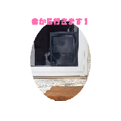 hana_20240203225911