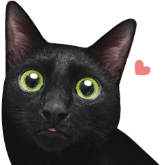 Confuesd Black Cat (Green eyes Ver.)