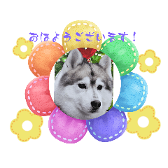 michiko_20240203145804