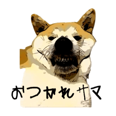 kotetsu_shibainu