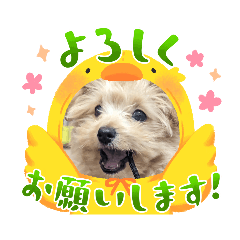 nao_20240203174427