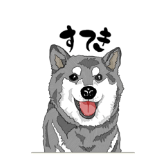 Kuro-shiba Umeko