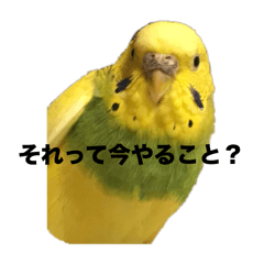 kana_20240204123257