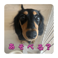 yuri_20240203213036