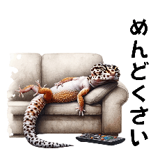 Leopard geckos3