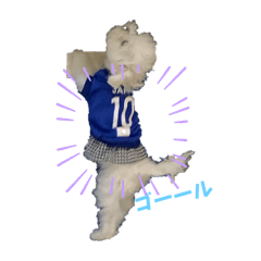 yuka_20240203200129