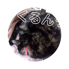 nao_20240203203907