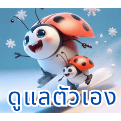 Snowy Ladybug Fun:Thai