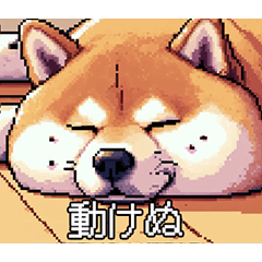Pixel art fat Shiba Inu