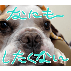 CREAM_20240204110918