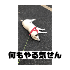 Sakura_20240204035622