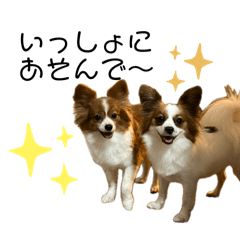 Taki_20240204000941