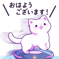 cat riding a robotic cleaner.