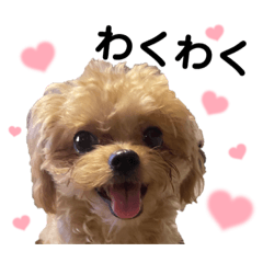 MUGIchankawaii