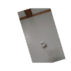 ABC_20240204183631