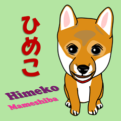 Himeko Mameshiba 202402