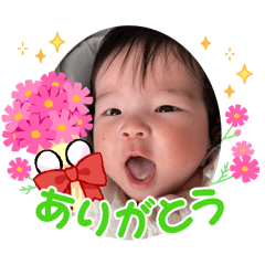 narut_20240204154747