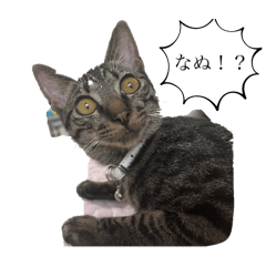 Yuka_20240204175855