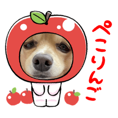 suzu_20240204211335