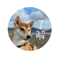 Puku_20240204191550