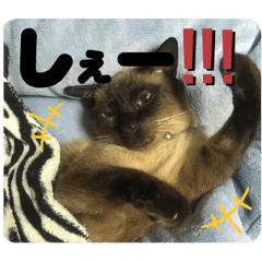 konatsu_20240204220902